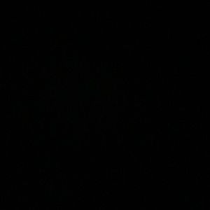 Meet your Posher, Louis